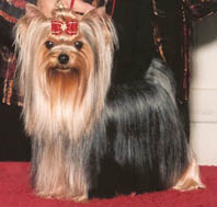 ChaCha