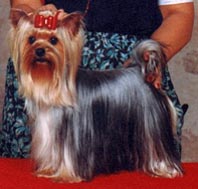 Ronnie