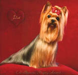 CH Blumoon Playing Around